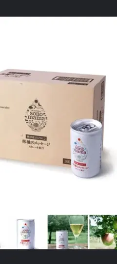 sono mama 林檎のメッセージ ストレート果汁 160g×10缶 — image 1