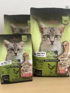 レオナルド LEONARDO キャットフード アダルト グレインフリー — image 1