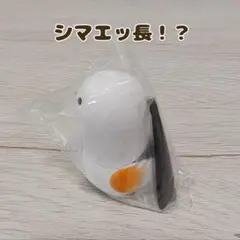シマエッ長！？【シマエッ長！？】カプセルトイ — image 1
