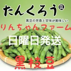 ⑤たんくろう 黒枝豆 — image 1