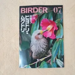 BIRDER 2026年7月号 ヒヨドリ・ムクドリ特集 — image 1