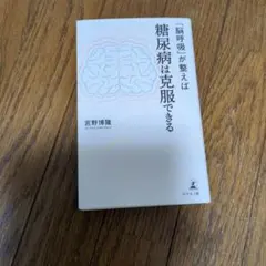 「脳呼吸」が整えば糖尿病は克服できる — image 1