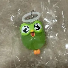 Duolingo ドゥオリンゴ めじるしアクセサリー わくわく — image 1