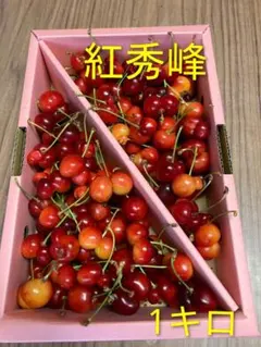 山形県産さくらんぼ　紅秀峰　Mサイズ — image 1