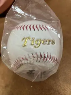 阪神タイガース サイン入りボール 展示ケース付　大山悠輔選手　背番号3 直筆 — image 1