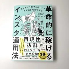 3ヶ月で1万フォロワー・月10万円を叶える 革命的に稼げるインスタ運用法 — image 1