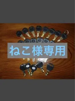 ねこ様専用 — image 1