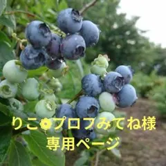 りこ❁プロフみてね様☆専用ページ — image 1