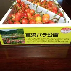 朝もぎたて さくらんぼ — image 1
