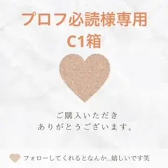 プロフ必読様専用 — image 1