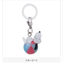 PEANUTS めじるしアクセサリーsummer スヌーピー — image 1