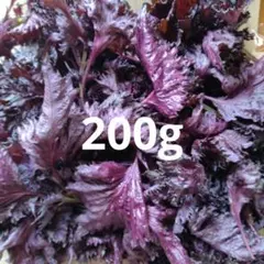 赤しそ　赤紫蘇　200g. 204 — image 1