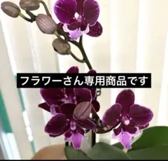 メルカリ便変更代金です — image 1