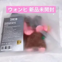 ILLIT ウォンヒ ぬいぐるみ WONHEE plush KEYRING — image 1