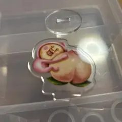 こびとづかん カクレモモジリ アクリルスタンド アクスタ — image 1