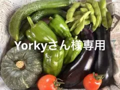 Yorkyさん様専用 — image 1