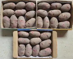 グランドペチカ　Lサイズ　コンパクトボックス — image 1