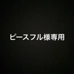 ピースフル様専用 — image 1