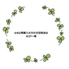 6/6以降購入の方の次回発送は6/27〜様 — image 1