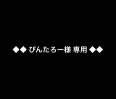 ◆◆ぴんたろー様専用◆◆ — image 1