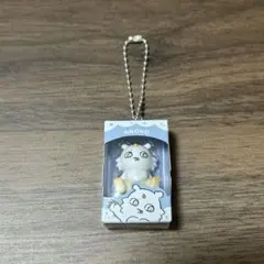 ちいかわチョコボックス　あのこ — image 1
