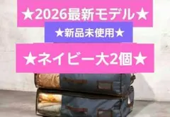 ★最新モデル★帝人★収納ケースプレミアム★大2個★ネイビー★新品 — image 1