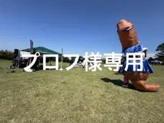 プロフご一読ください様専用③ — image 1
