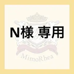 N様 専用★速達★ — image 1