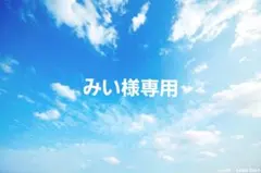 みい様専用 — image 1