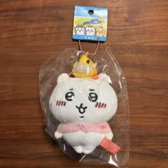 【ご当地ちいかわ】ちいかわ-琵琶湖 — image 1