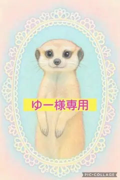 ゆー様専用 — image 1