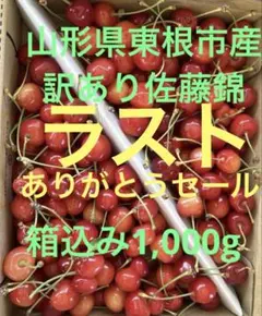 ラスト　ありがとうセール — image 1