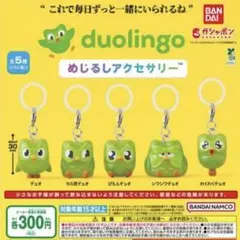 duolingo めじるしアクセサリー 全5種コンプリート — image 1