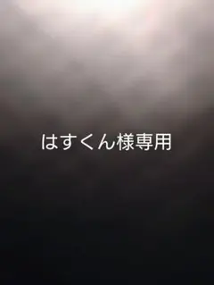 はすくん様専用 — image 1