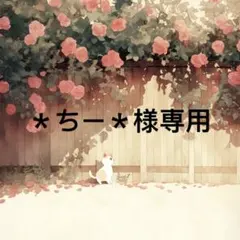 ＊ちー＊ 様　専用 — image 1