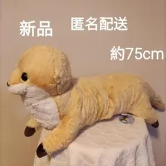 新品　未使用 — image 1