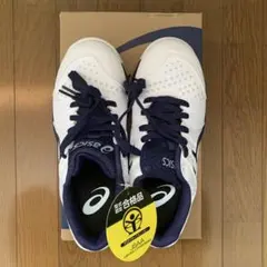 asics アシックス 安全靴 作業靴 WINJOB CP113 — image 1