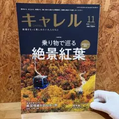 キャレル 2025年11月号 新潟情報誌 — image 1