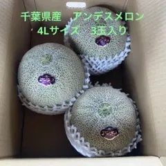 千葉県産 アンデスメロン　4Lサイズ3玉 農家直送 食べ頃6月23日 — image 1