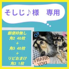 そしじ♪様　♥専用♥ — image 1