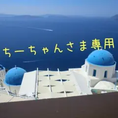 ちーちゃんさま専用 — image 1