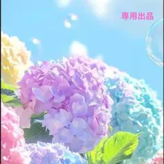 【専用出品】商品 — image 1