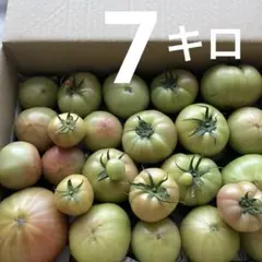 北海道産　訳あり品　桃太郎トマト　7キロ — image 1