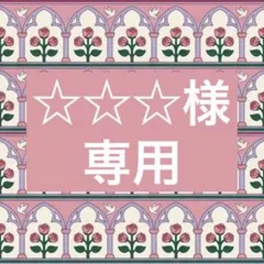 ☆☆☆様専用 — image 1
