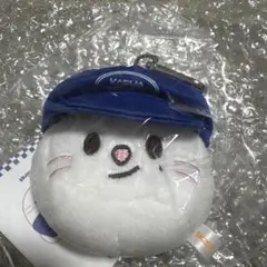 SKZOOJiniret ceremonyBALLCAP PLUSH karma — image 1