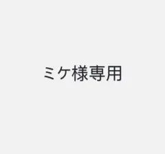 ミケ様専用　3点セット — image 1
