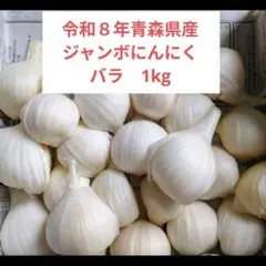 令和８年青森県産ジャンボにんにくバラ1kg 栽培期間中農薬不使用 — image 1