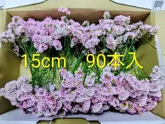 ハイブリッドスターチス ドライフラワー 15cm 90本 チェリーブロッサム — image 1