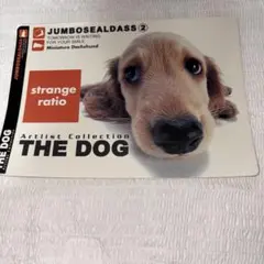 THE DOG シール ステッカー 4種セット — image 1