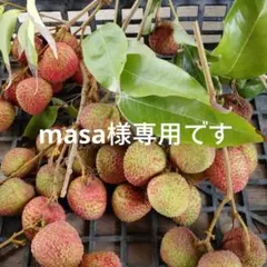 masa様専用です。 — image 1